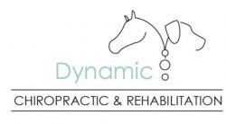 Dynamic Chiropractic & Rehabilitation - Montague, MI